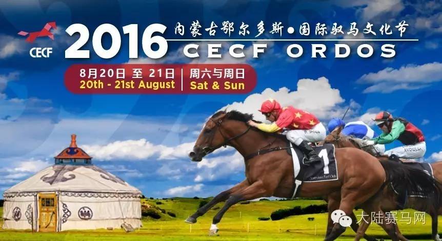 2014马术文化节,鄂尔多斯驭马文化节