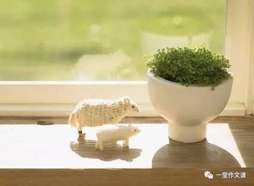 小学生必读优秀作文30篇,小学生满分作文范文100篇