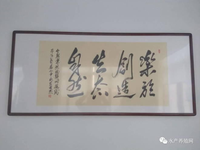 十亩鱼塘如何养出20亩的鱼,10亩鱼池养多少鱼苗