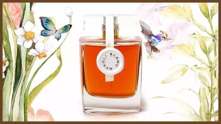 她做小三拿影后，你不能停止注视她｜本周最IN