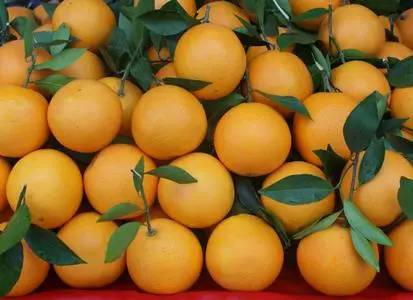 渝北哪个区发展最好,渝北人很富吗