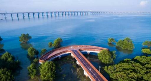 你认为的深圳和现实中的深圳,深圳小渔村发展到现在的变化