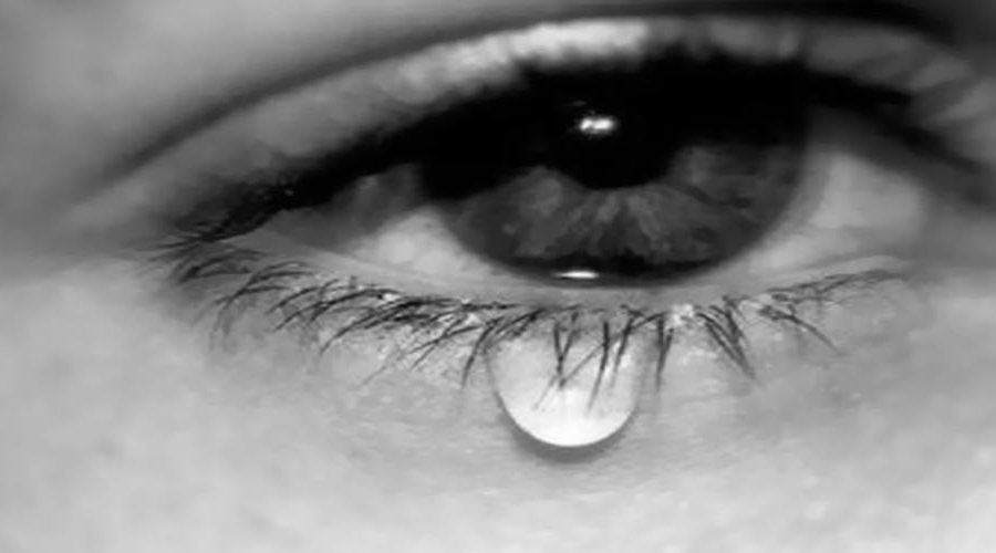 手机用多了眼劳累,手机玩多了眼睛干涩用什么眼药水