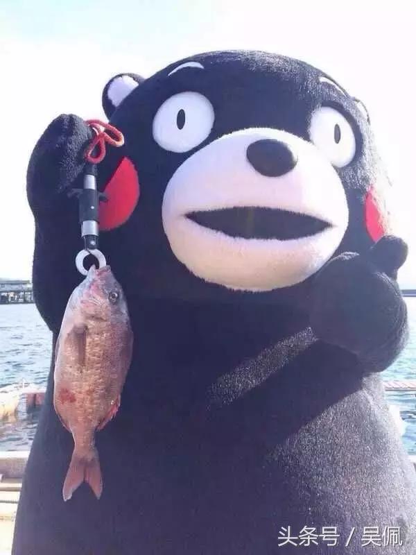 留恋自己的第一台车感悟人生,人生中拥有的第一台车