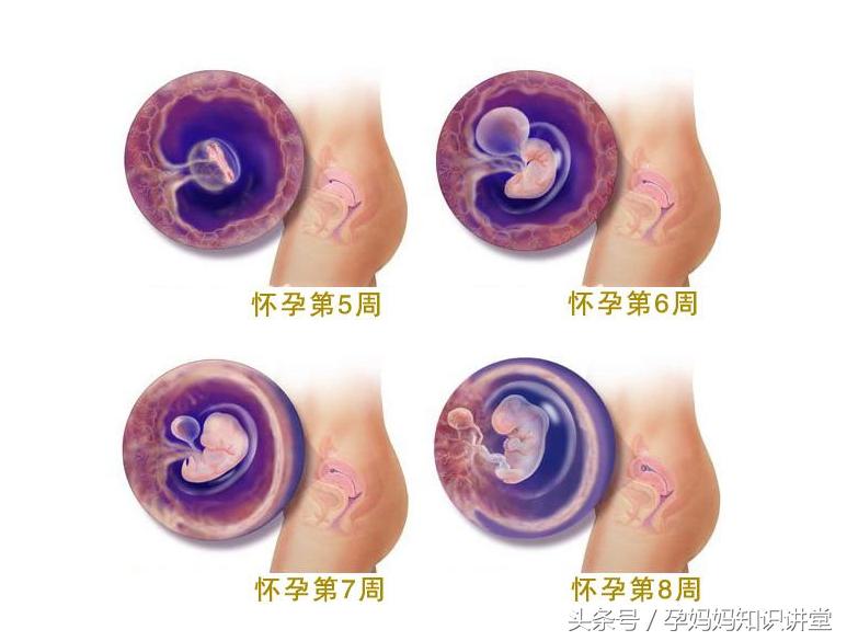 孕期准妈应该做什么,怀孕后第一个月孕妈要关注些什么