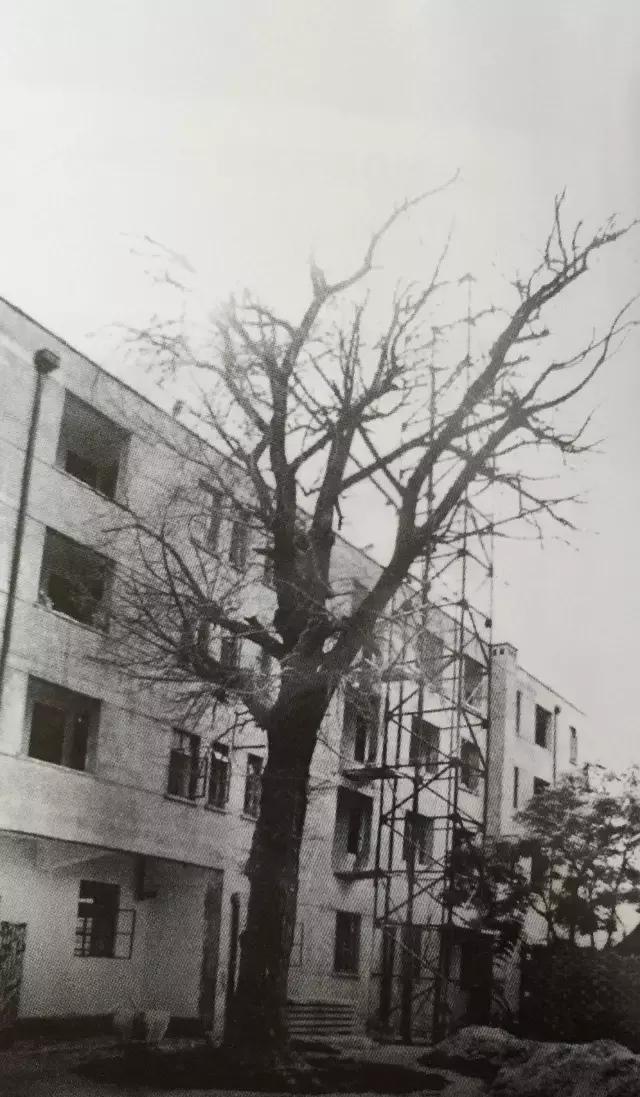 80年代一张老照片的回忆,值得珍藏的40张老照片