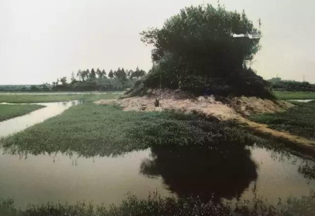 80年代一张老照片的回忆,值得珍藏的40张老照片