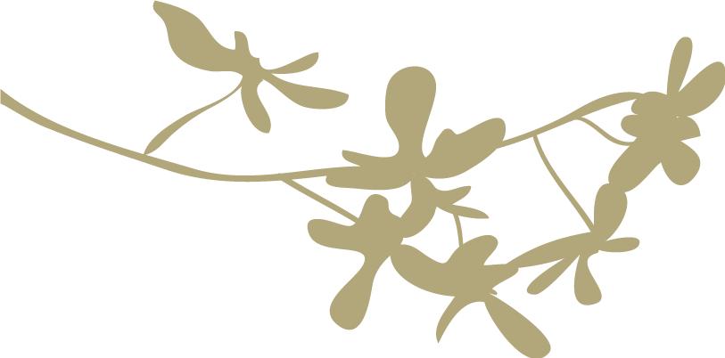 既然爱情抓不住，就让我痛痛快快地当个肥肠爱好者吧