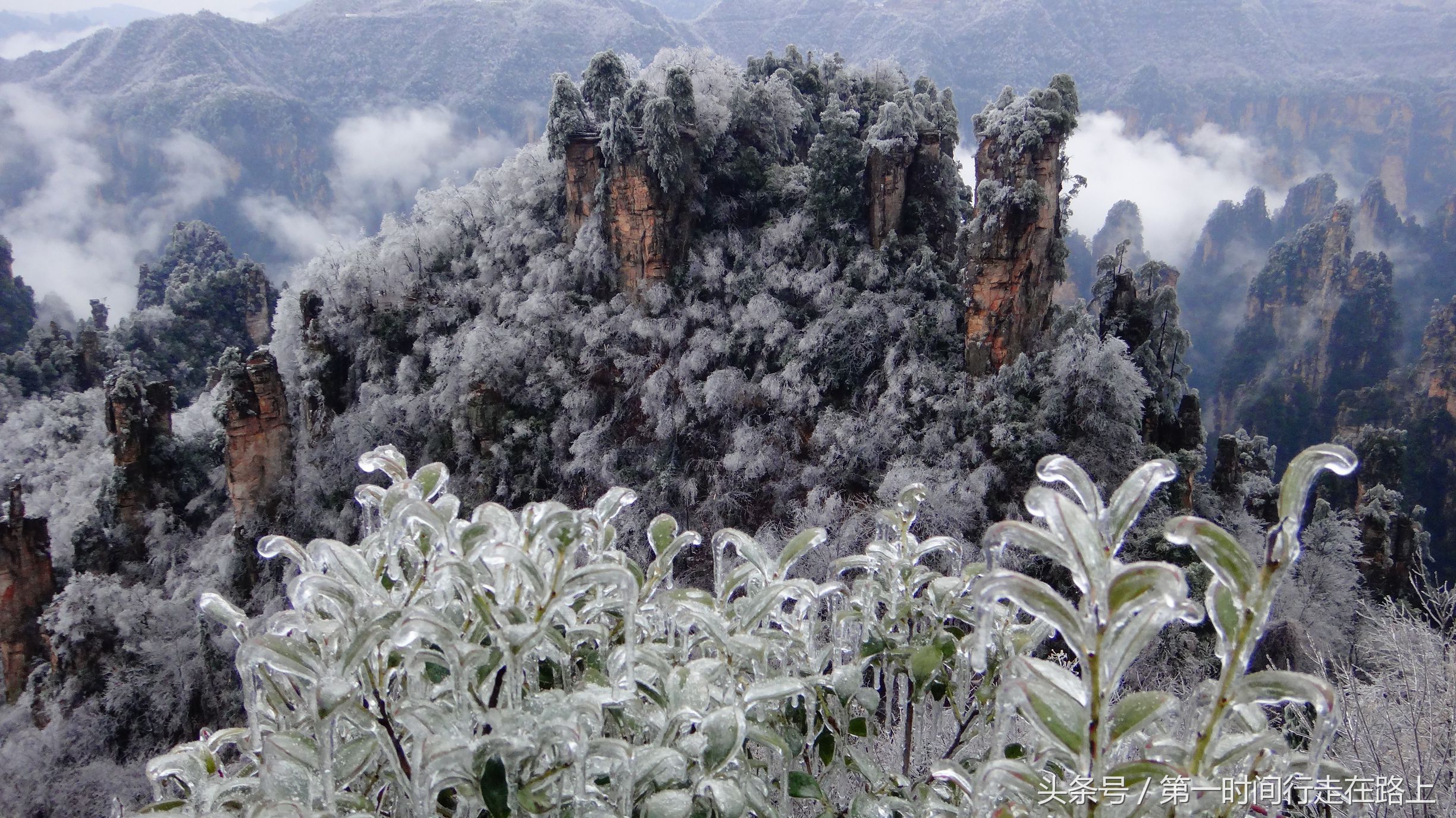 张家界浪漫之地,张家界最浪漫的婚纱