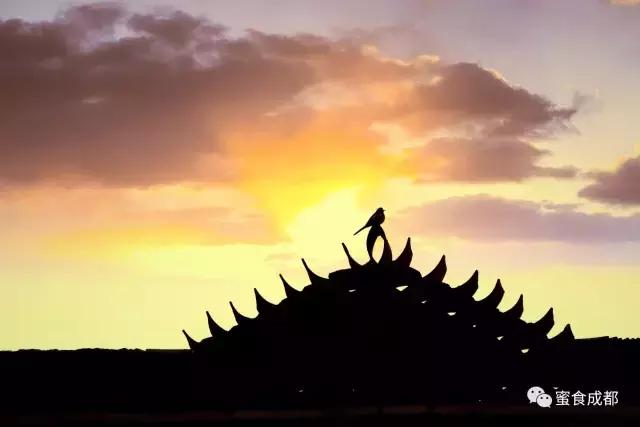 这里的春天最美丽歌词 (这里的春天最美丽)