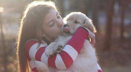 养狗须知：狗狗脾气暴躁易怒怎么办？微量元素缺乏狗狗性情大变