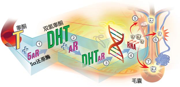 特朗普70岁后的变化,特朗普70岁