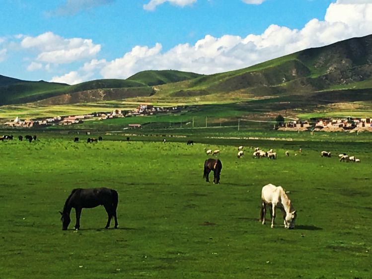 成都到青海湖最佳路线,成都去青海湖怎么去