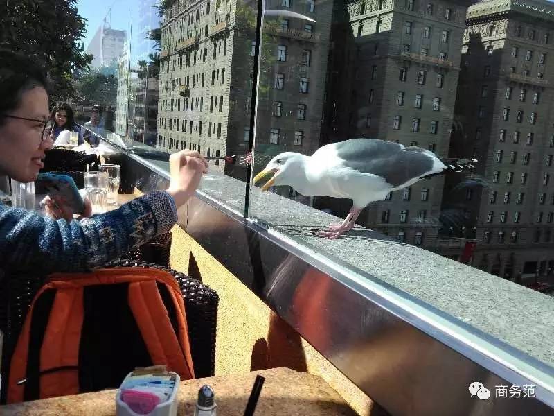 分享出你买过最后悔的东西,分享一次自己难忘的购买经历