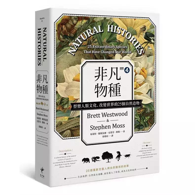 除了包包还能买什么,香港值得推荐的酒店