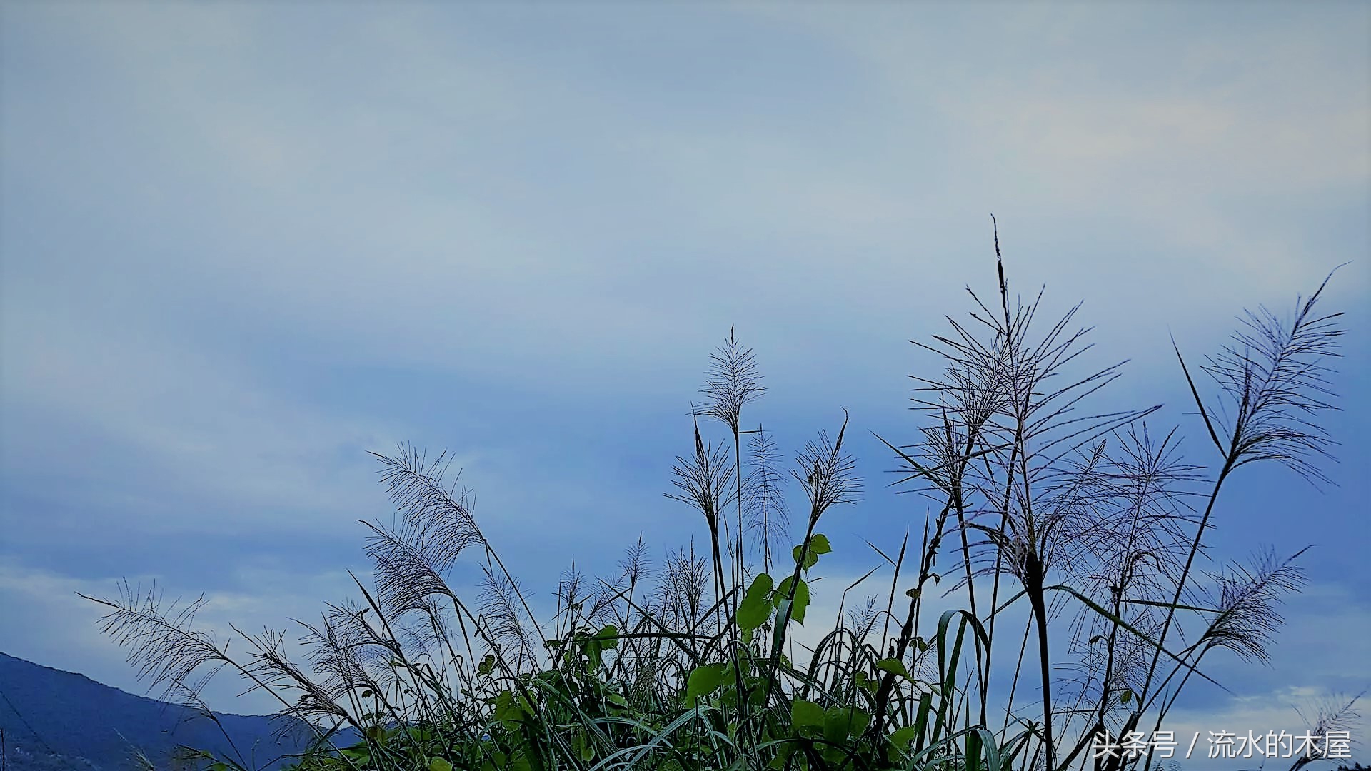 德兴黄柏最新消息,德兴黄柏火灾新闻