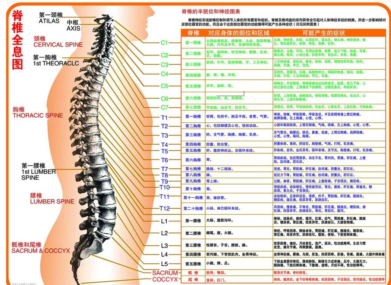 脊椎难受怎么矫正,矫正脊椎的方法