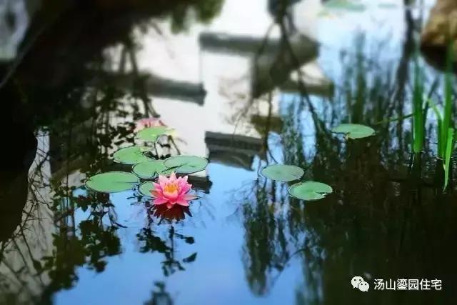 汤山鎏园环境,汤山鎏园图片