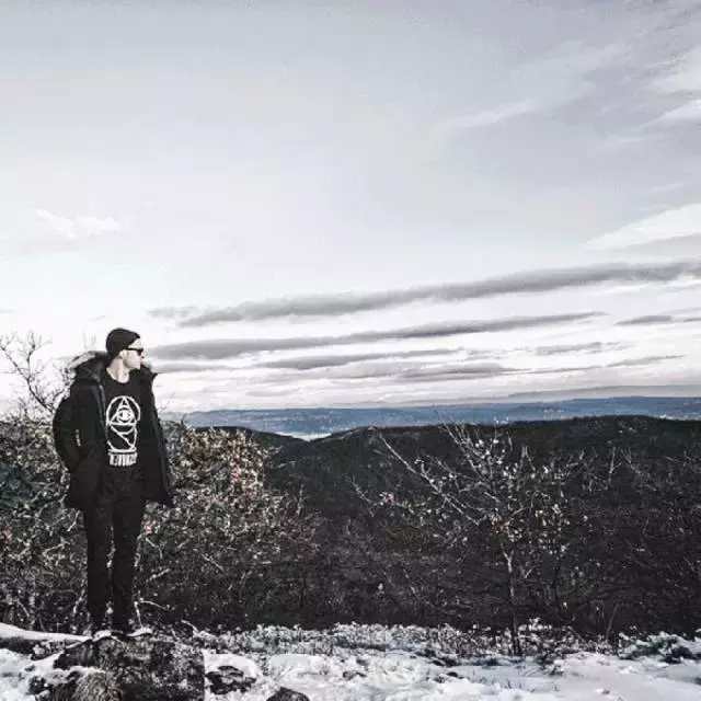 万人迷“加拿大鹅”要上市，揭秘凭什么这些老树能开花