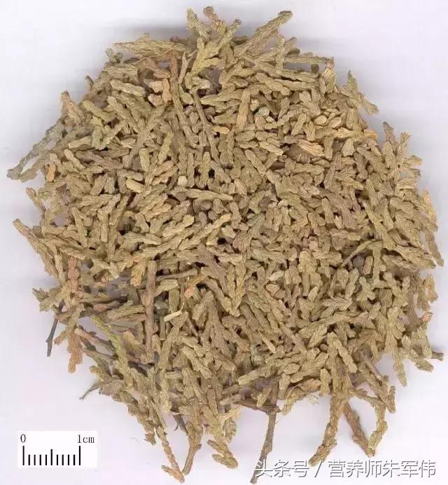 农村不花一分钱的食物,农村不值钱的树叶