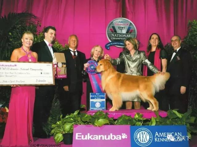 殿堂人物：采访美国金毛领军人物—TonyaStruble