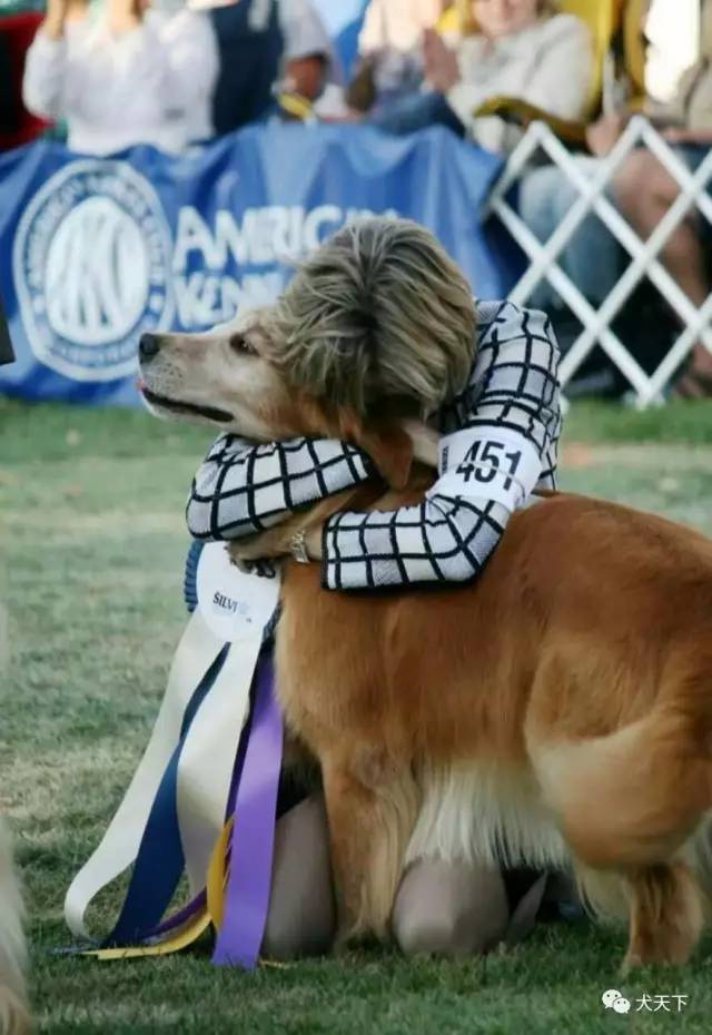 殿堂人物：采访美国金毛领军人物—TonyaStruble