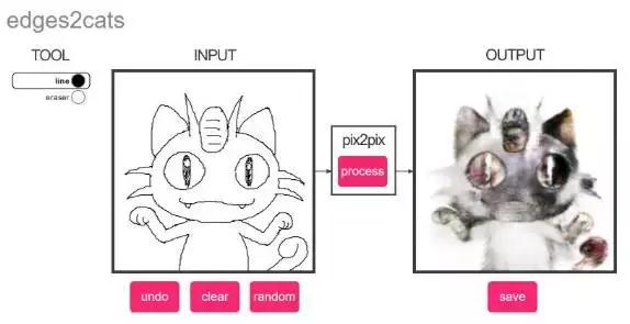 年轻人，想不想亲自去拍个猫片呀！