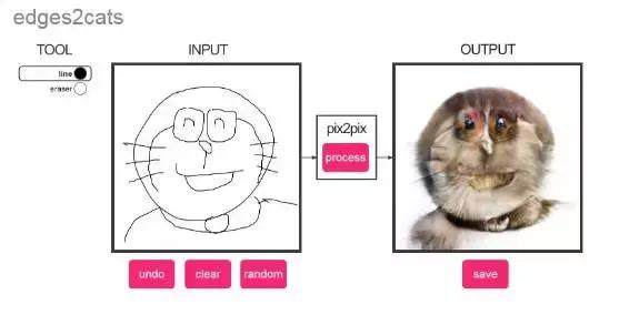 年轻人，想不想亲自去拍个猫片呀！