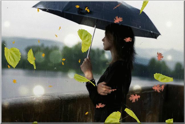 美国清新青春校园电影有哪些,美国最经典青春校园电影排行榜