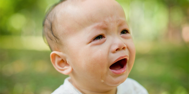 羊生产后恶露多久排干净,母羊产后恶露多久才能干净