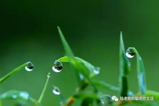 陆生作文训练方法,陆生作谈写作