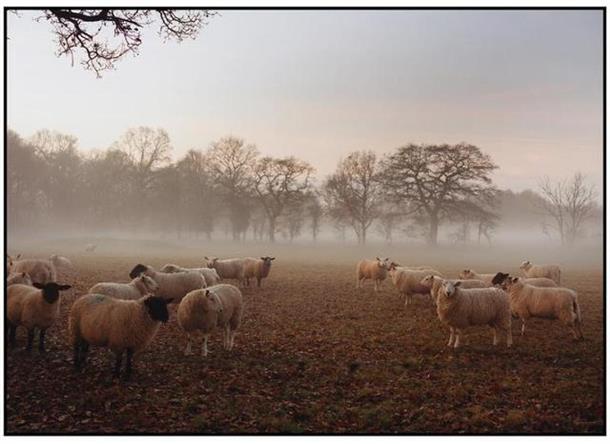 burberry2018时装周,伦敦时装周burberry2024春夏