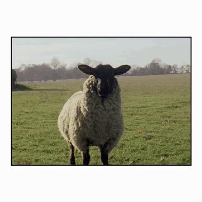 burberry2018时装周,伦敦时装周burberry2024春夏