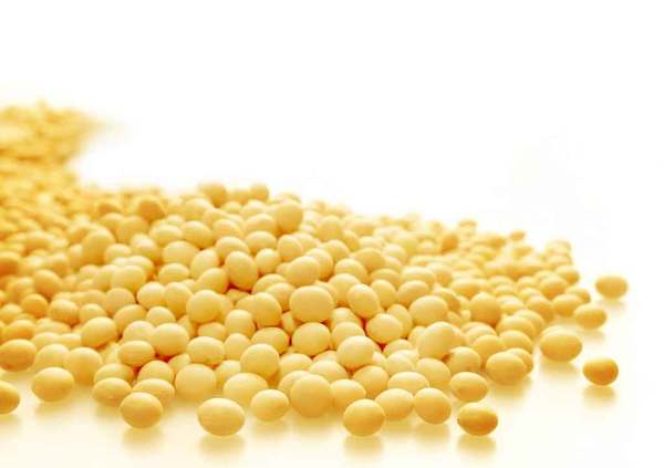 猪脚炖黄豆黄豆泡多久才软烂,黄豆怎么炖得软烂