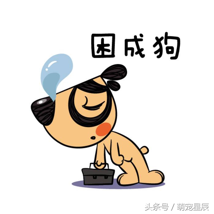 进口宠物食品moa,进口宠物粮品牌发展现状