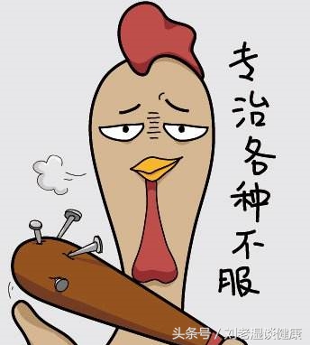 狗狗打了狂犬疫苗关注事项和禁忌,打完狂犬疫苗关注事项能不能吸烟