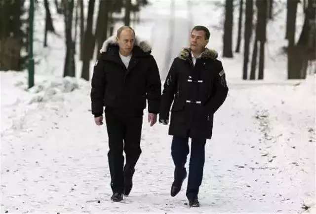 万人迷“加拿大鹅”要上市，揭秘凭什么这些老树能开花