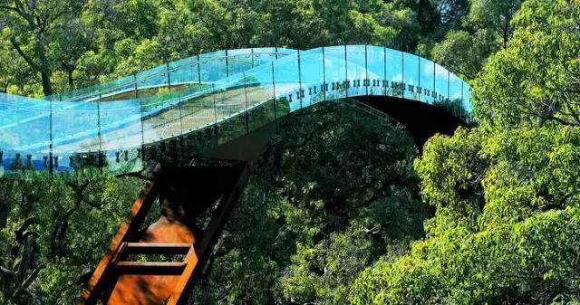 澳洲旅游攻略必带物品清单,澳洲旅游攻略需要花费多少钱