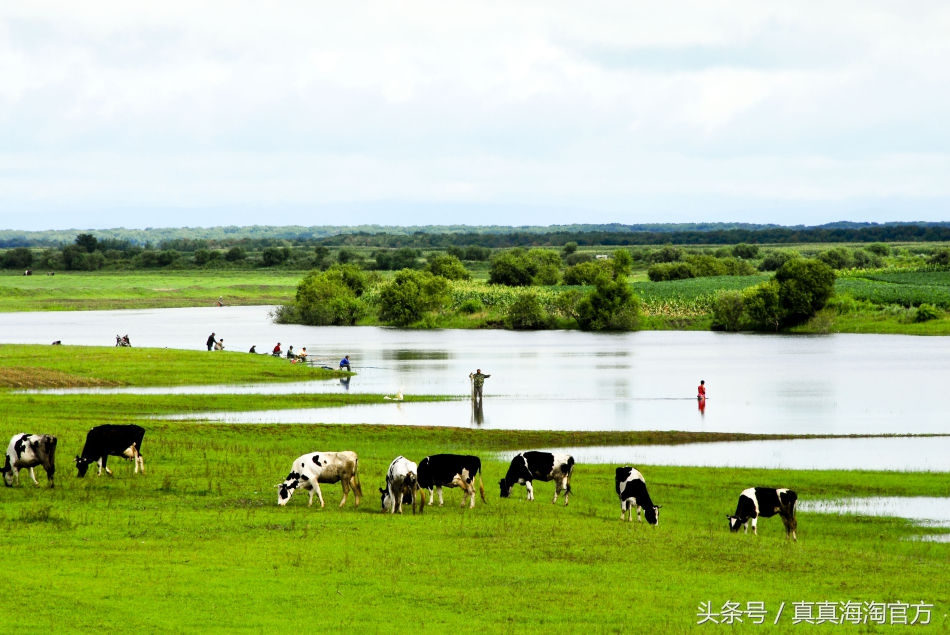 怎样给宝宝选择一罐安全的奶粉,如何选择一款适合宝宝的奶粉