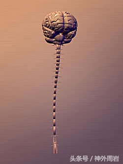 世界第一神经外科,最权威的神经外科医院