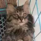 这里有一个坐银魂时光机的机会，可以看看去年的你