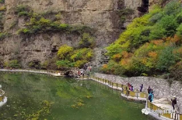 北京最美赏花公园在哪,北京赏花公园景点推荐