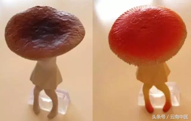 姨妈痛时，你是哪种姿势？马上喝下这道补气养血的四物汤吧