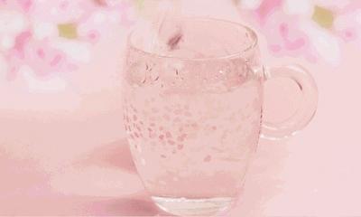 星巴克樱花系列杯子2022,樱花礼盒星巴克