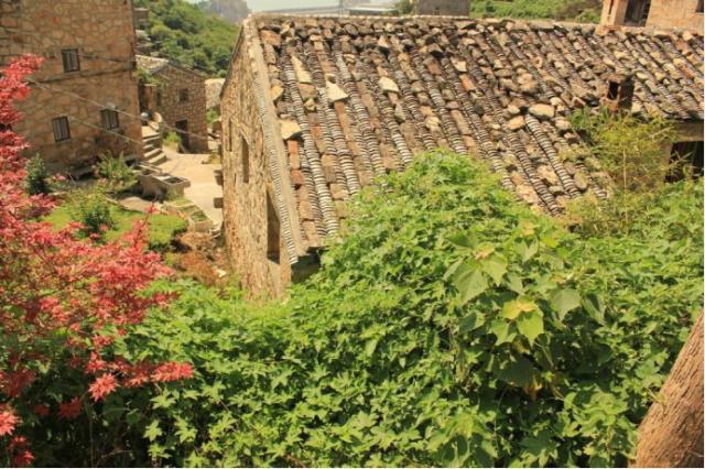 巴黎圣母院屹立在巴黎市中心,巴黎圣母院在巴黎哪里