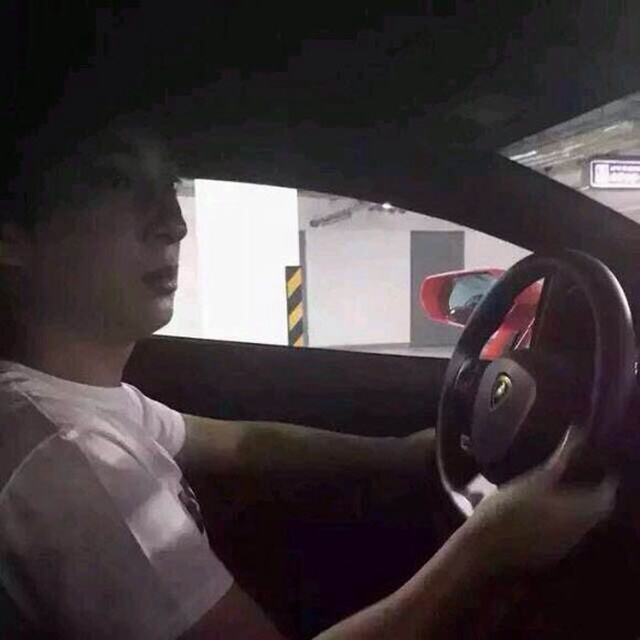 王思聪王健林海外项目,王思聪王健林买豪车