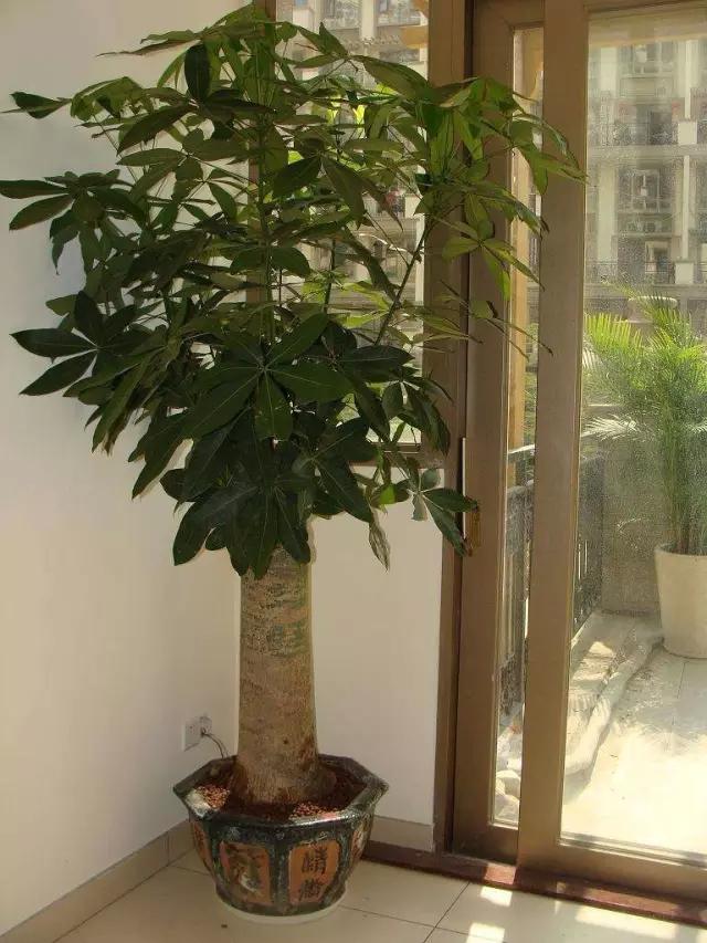 做好这几点让你少生病,做好这几件事能少吃很多亏