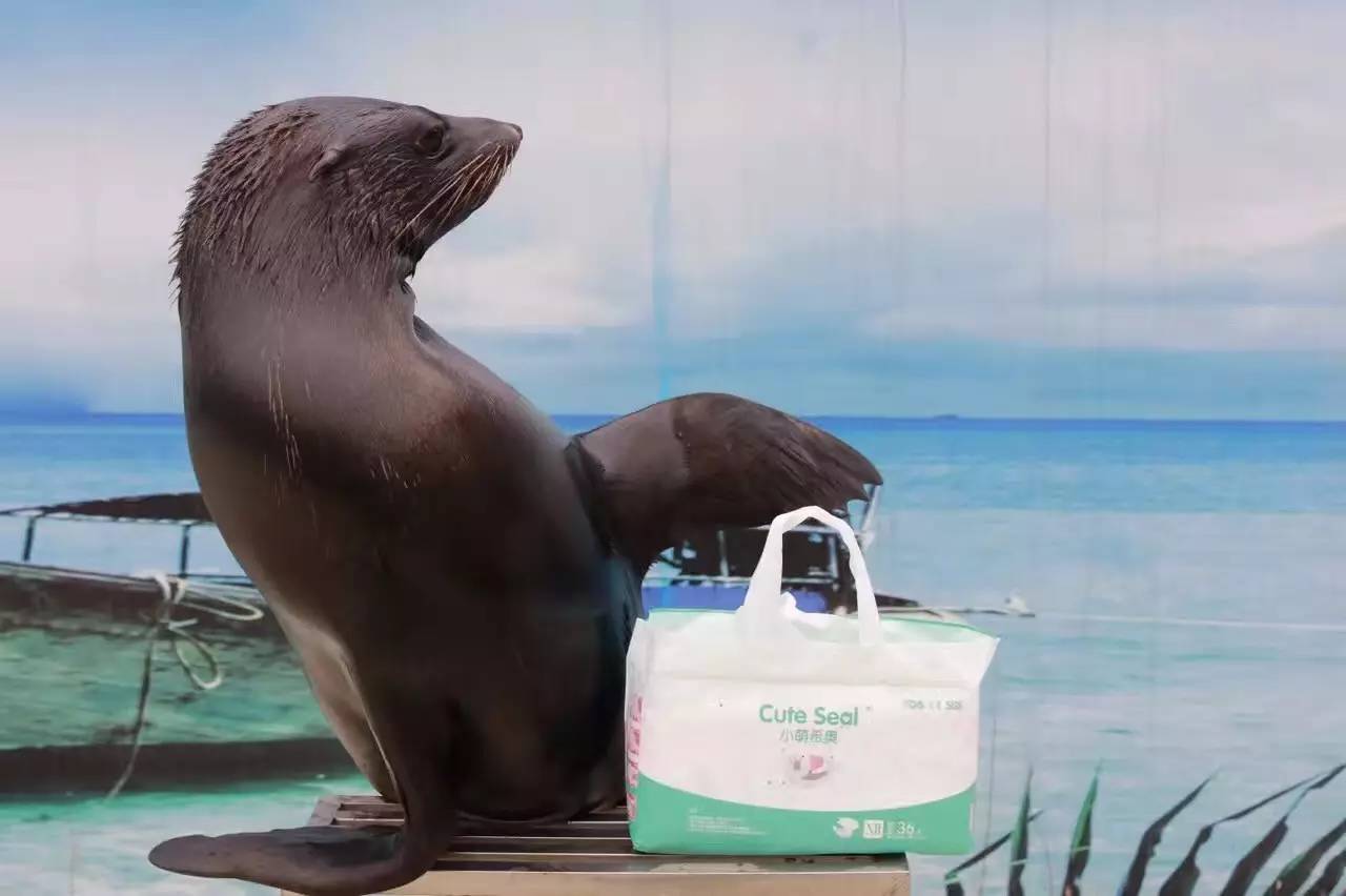 阳春三月，小萌高管们受邀齐飞诗巴丹参加“马布海洋日”~