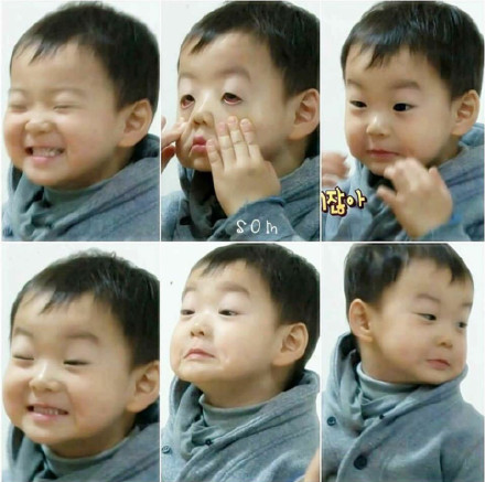 表情包民国长大了,民国咕咕表情包