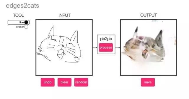 年轻人，想不想亲自去拍个猫片呀！